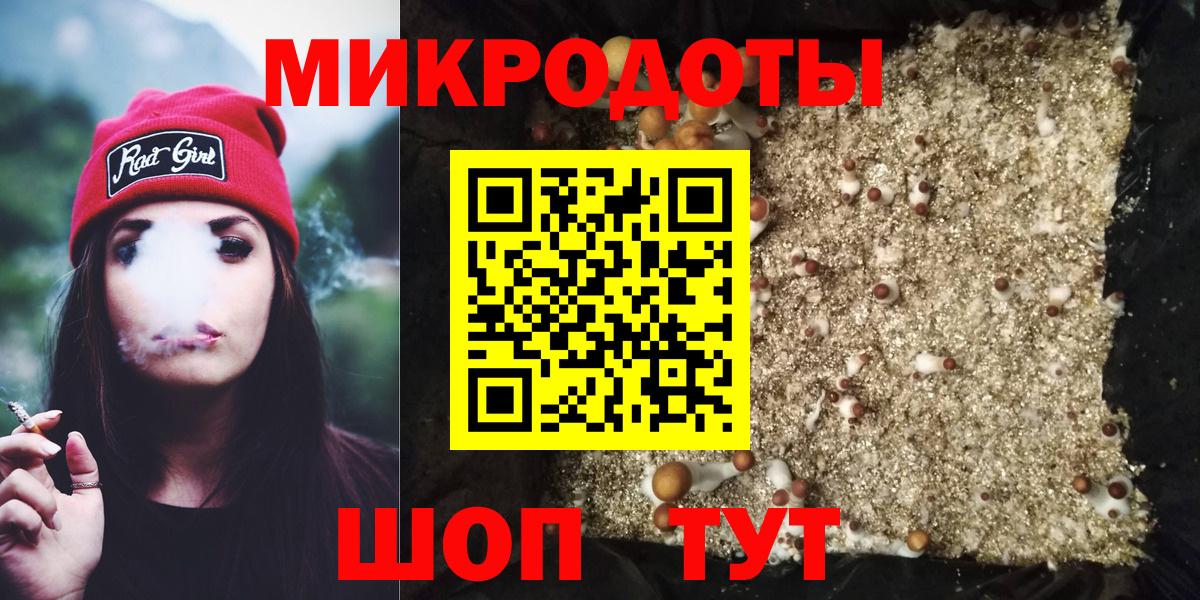 Псилоцибиновые грибы Psilocybe Лабинск
